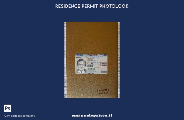 stile verificato Francia nuova carta di soggiorno presente modello FRONTALE phot